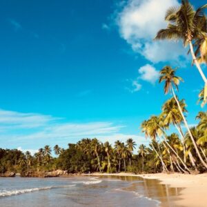 Tour Samaná